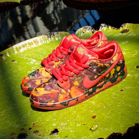 Nike SB x Wizard of Oz