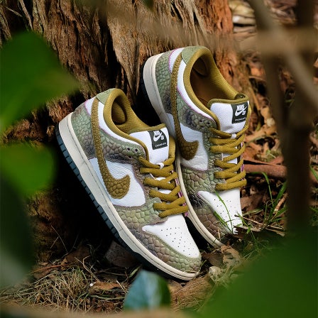 NIKE SB DUNK LOW PRO "CHAMELEON"